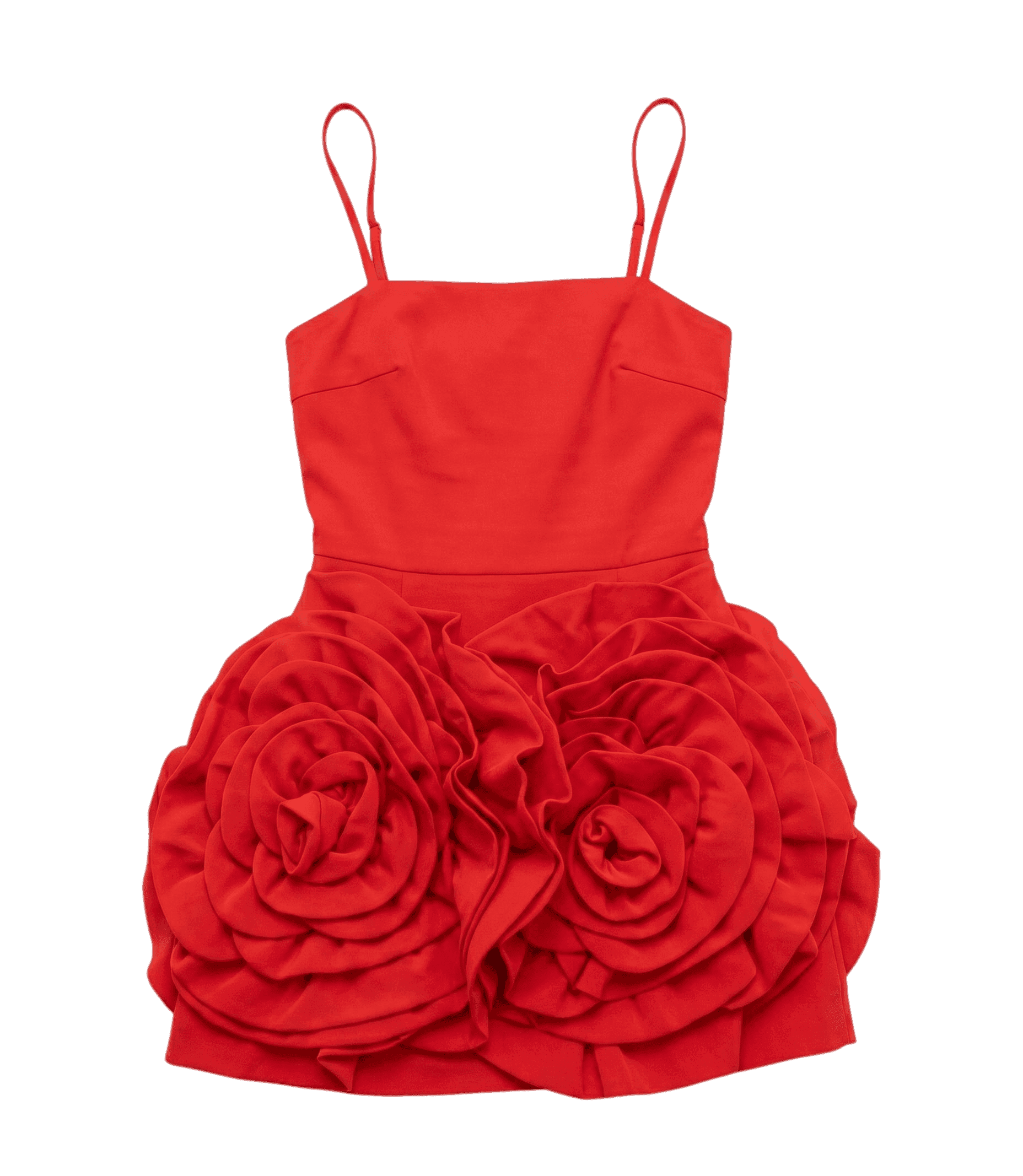 Flat lay product photo of red rose dress before AI processing
